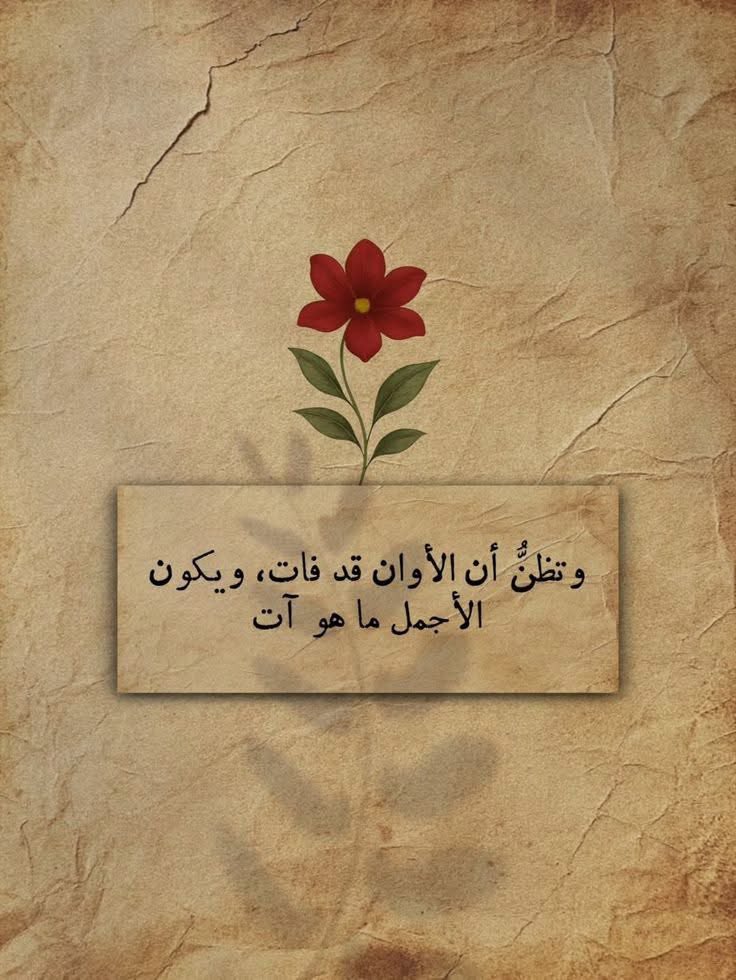 نجيب محفوظ ✍️