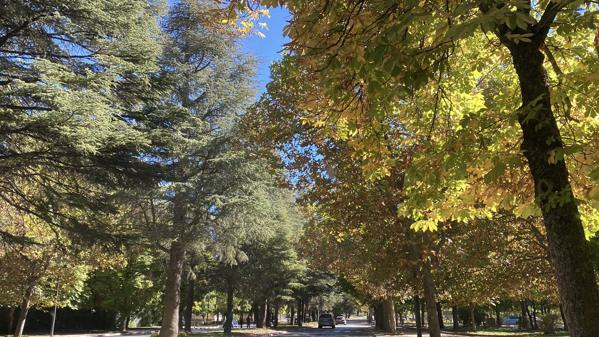 ArtCodeSpark's tweet image. انتهى وقت الإيجازة... 🌝✨