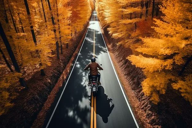 Smt_MachiningCo's tweet photo. Fall isn’t downtime — it’s build season. 🍂
Real riders hit the garage, not the couch.

A Bulldog Fat Tire Kit = more stance, more grip, more attitude.
CNC-cut billet. Perfect fit. Zero excuses.

👉 https://t.co/xgB00aD4Dr

#BulldogKit #GarageSeason #MotorcycleBuild #CustomWheels https://t.co/ZpgzjSrYVI