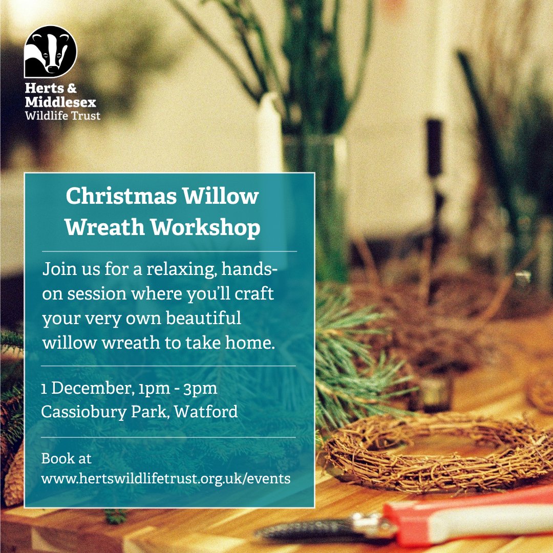HMWTBadger's tweet photo. 🎄 Get crafty with nature this Christmas!
Join our Willow Wreath Workshop at Cassiobury Park, 1 Dec, 1–3pm
Craft your own nature-friendly wreath and enjoy a relaxing, festive afternoon.
Book your spot today: https://t.co/AG6BwxtAWS
@WatfordBC
#WatfordEvents #NatureCrafts https://t.co/9m1HHamUZs