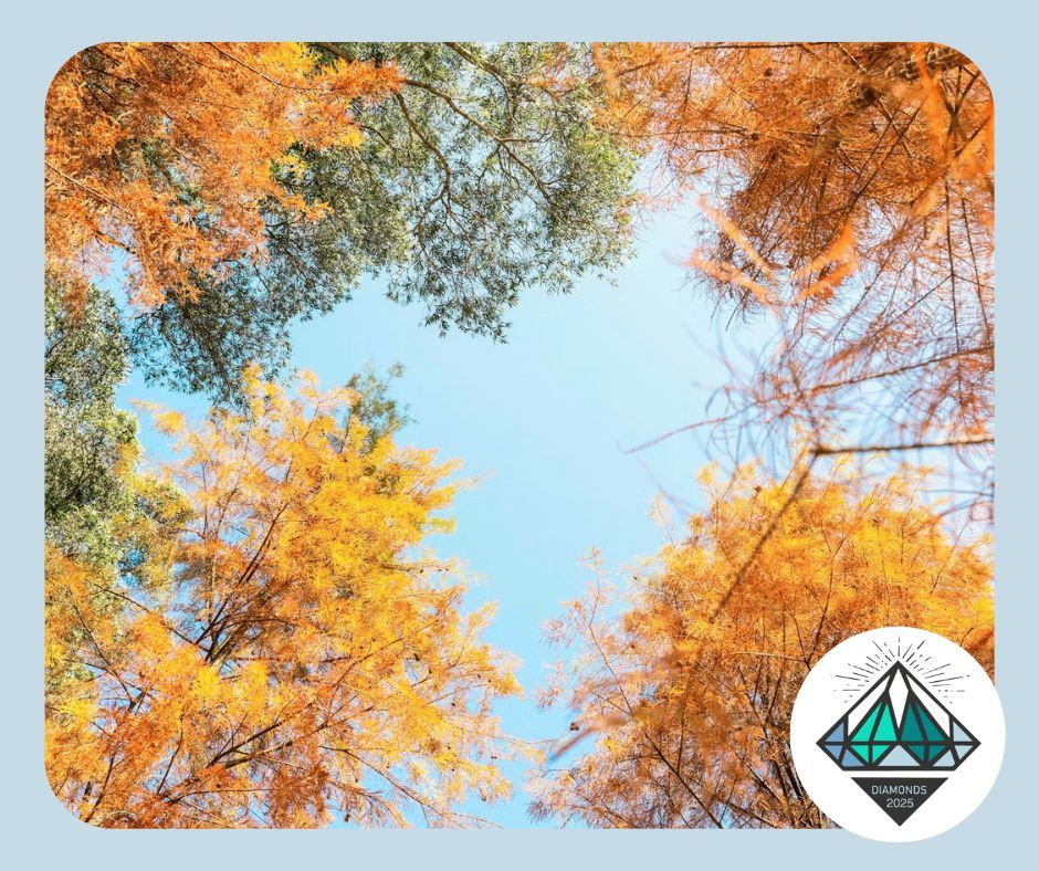 diamonds_conf's tweet image. #ScriptureSunday &quot;Love is patient and kind; love does not envy or boast; it is not arrogant or rude... Love bears all things, believes all things, hopes all things, endures all things.&quot; — 1 Corinthians 13:4, 6-7 💎