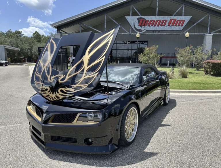 KatKanada_TM's tweet image. Oh, 

Is it Trans awarenes week already??? Boy, time flies. 

Anyway, here&apos;s a Trans Am. 

Are you aware of these? 🤨🤔