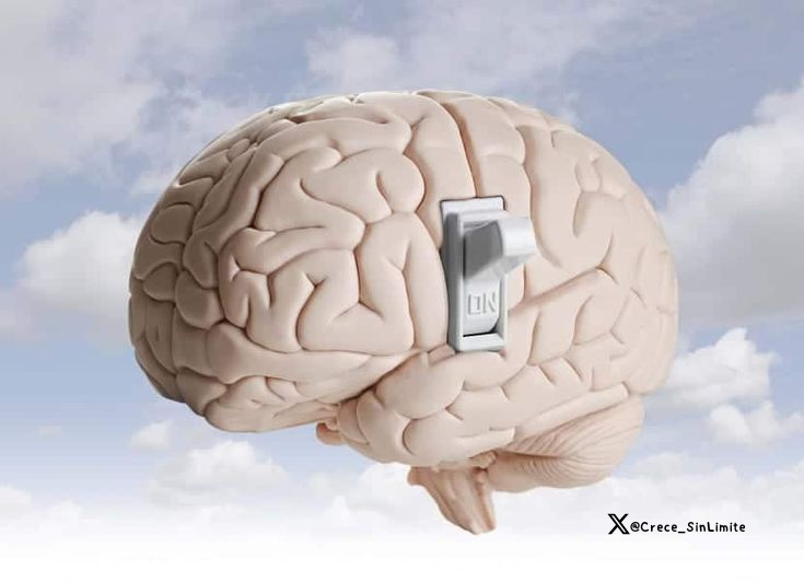 Crece_SinLimite's tweet image. El 90% de las personas olvida en una semana lo que han leído.

Sin embargo, recordar lo que lees es muy fácil cuando sabes como hacerlo.

Aquí tienes 8 trucos para recordar todo lo que lees: