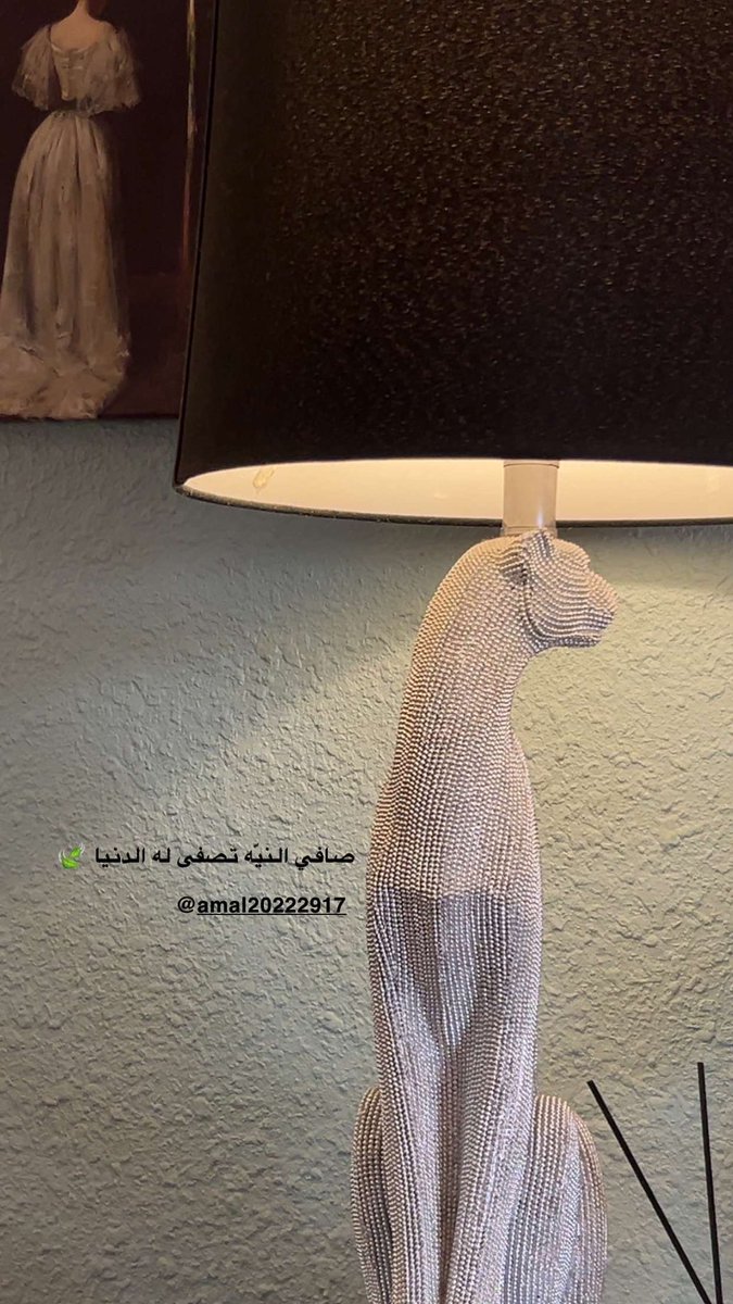 Amalfloer's tweet photo. لحظات سكون 👌🏻 https://t.co/rgLhUsNzj8