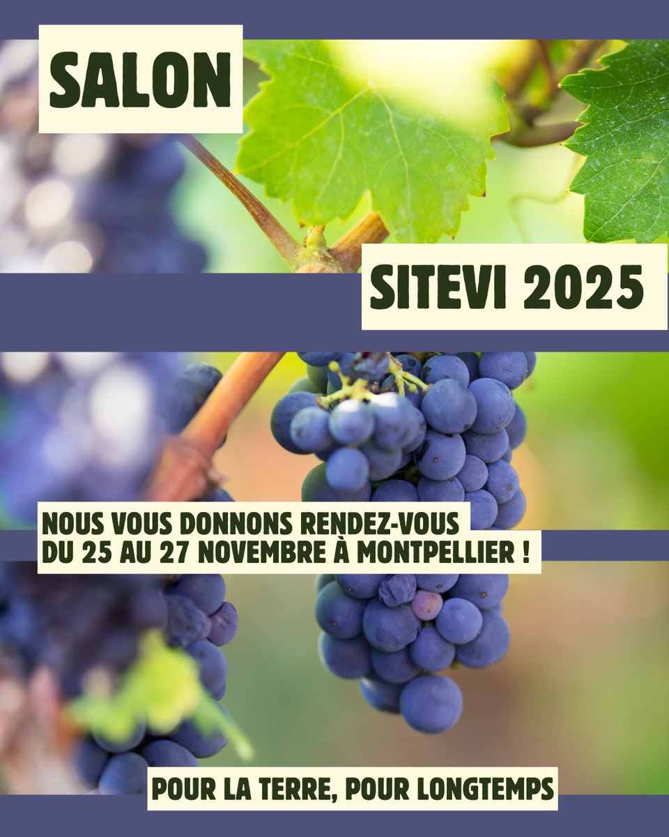 🍇 Le monde de la vigne, du vin et des cultures spécialisées a rendez-vous à SITEVI 2025 à Montpellier du 25 au 27 novembre.
Venez échanger avec SOBAC sur nos solutions pour des sols vivants, une production de qualité et durable.