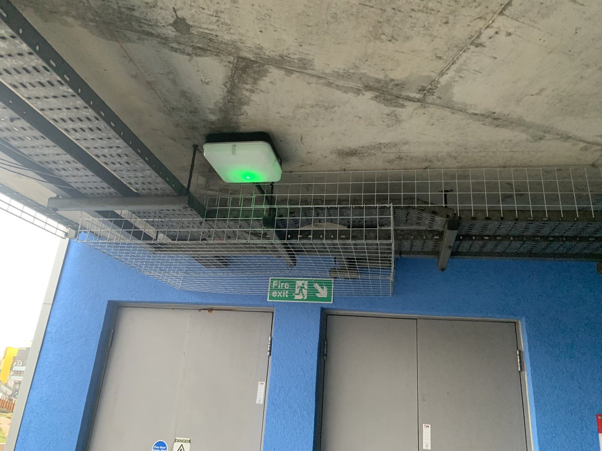 pbclimited's tweet image. #EastLondon #weldmesh installed to cable trays to prevent pigeons from roosting #birdcontrol