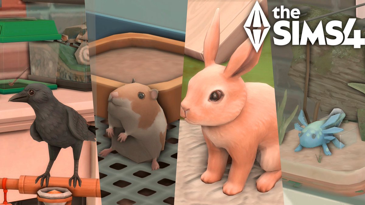 Hi.✨ I’ve made a video about all the animals that can be found in The Sims 4. I hope you like it!☁️
Check out the video here: m.youtube.com/watch?v=m4kGG7…

#thesims4 #sims4 #sims #ts4