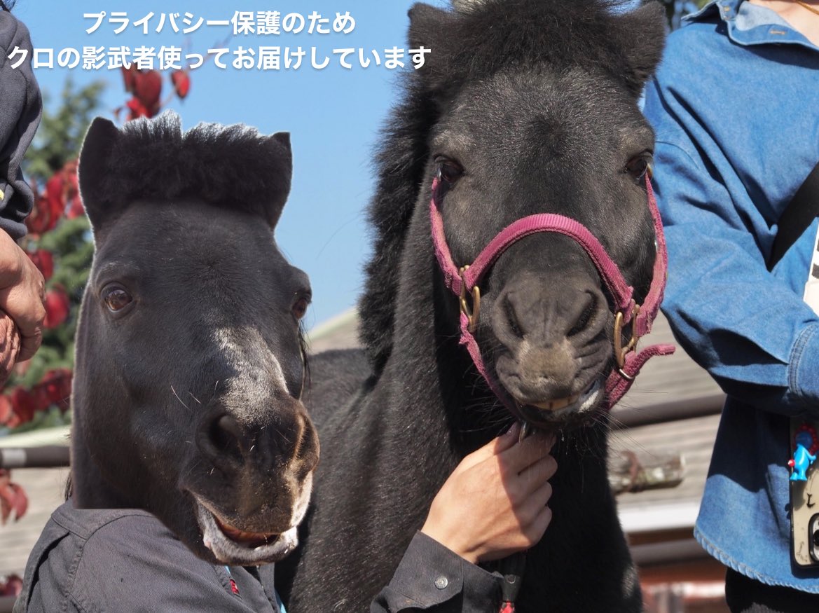 牛タンちゃん (@onakaippai_damo) / Posts / X