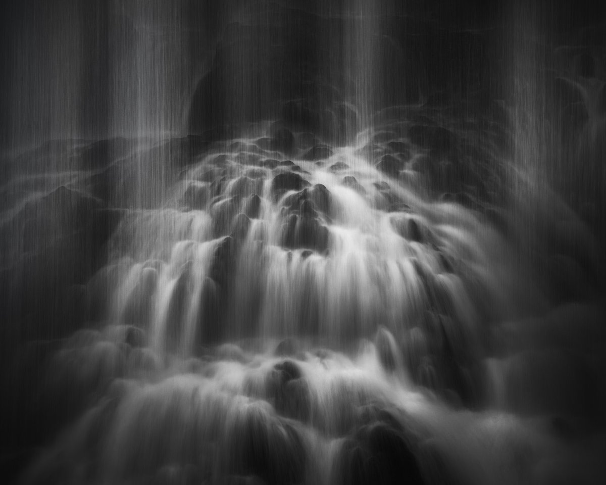 Michael Shainblum tweet media