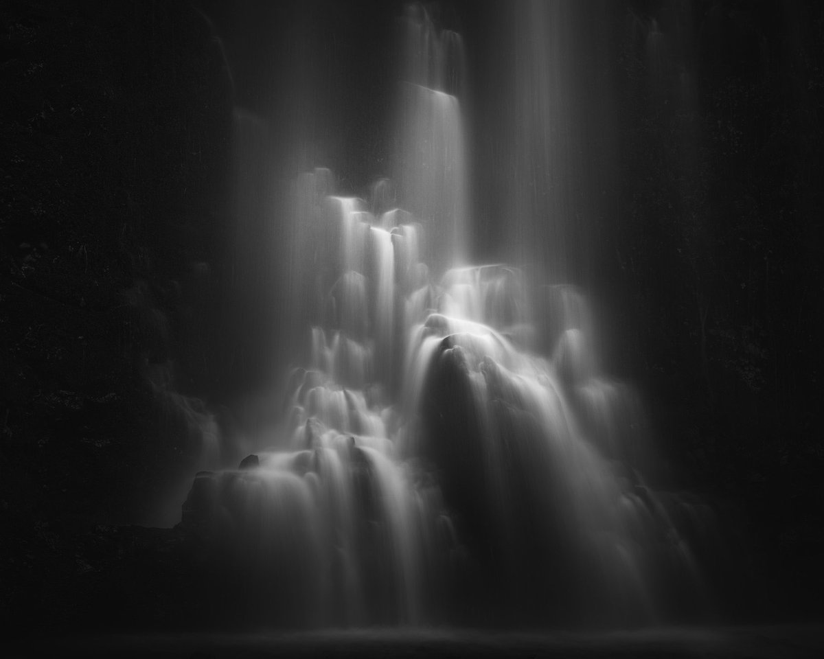 Michael Shainblum tweet media