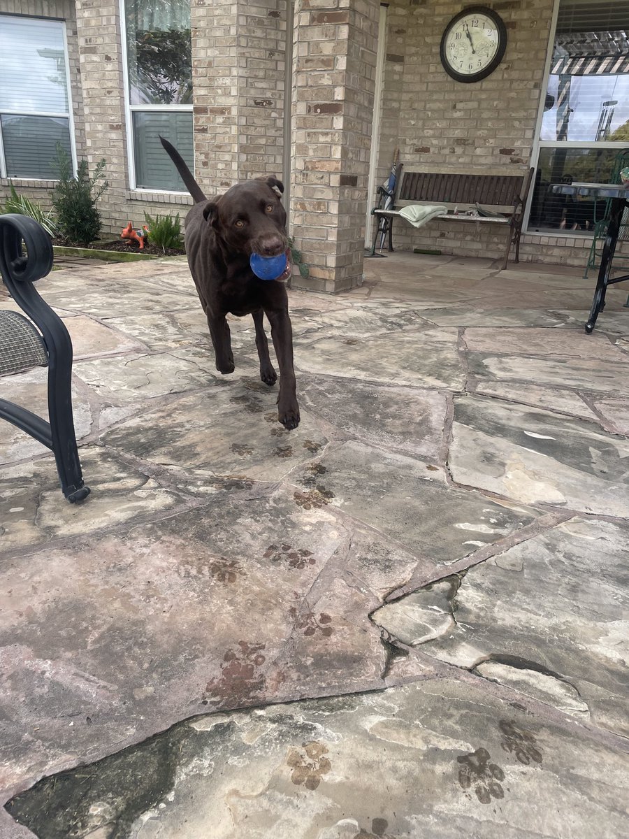 This is so fun!!!! <a href="/emilymadelyn_/">emily dear</a> Know what else is fun?? Winning football games. Take note <a href="/HoustonTexans/">Houston Texans</a> …