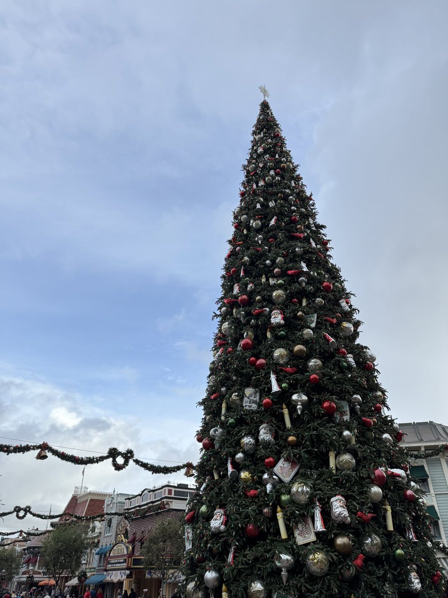 Luke94's tweet image. Christmas at #Disneyland on a rainy morning 😇🎄☃️