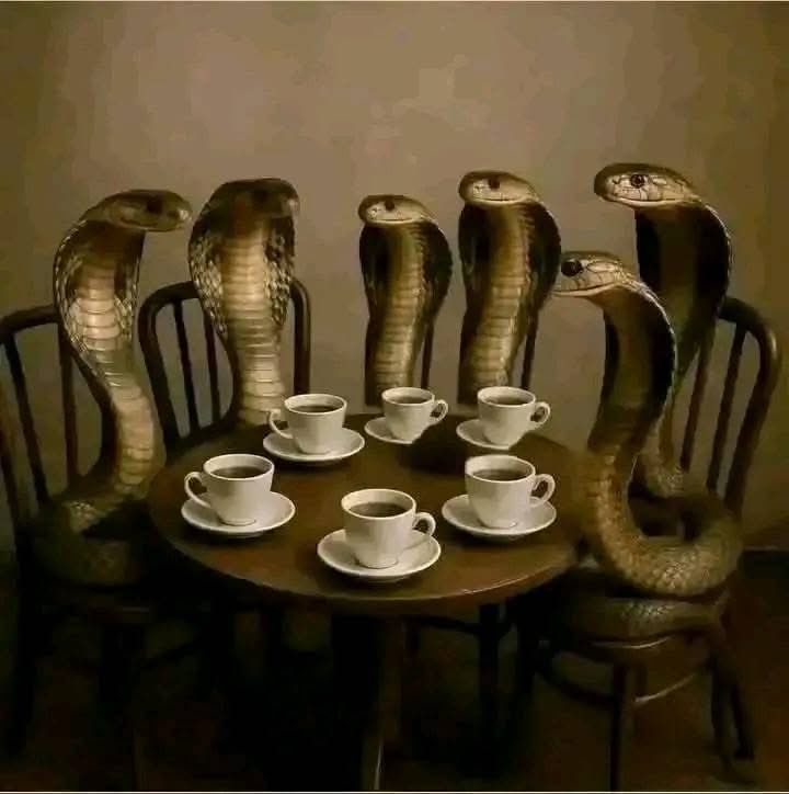 وعلي رأي ستي " فيهم العبر ولابسين توب الفضيله ، وفي الأصل عرر و منيلين بستين نيله "