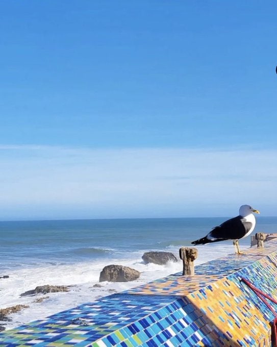 safia_1v's tweet image. أمّا بعدُ .. 
فبعدَ كلّ شيءٍ ، هُمّشتُ ، و تمّ حذفِي بعيداً بعيداً بمنجنيقِ الجفاءِ ، و أكادُ منْ فرطِ الحنينِ أذوبُ..!💛