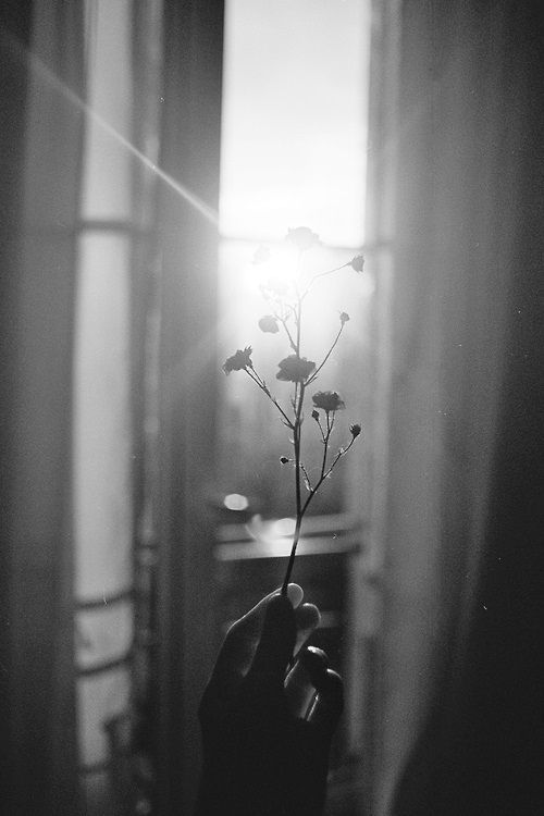 Me...🩵💙🩵💙🩵💙🩵 (@andedo17) on Twitter photo 