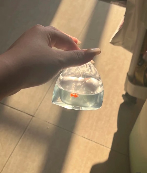 hamu_3nd's tweet photo. 金魚すくいみたいな AirPodsケース見つけた https://t.co/NTCiIpi41B