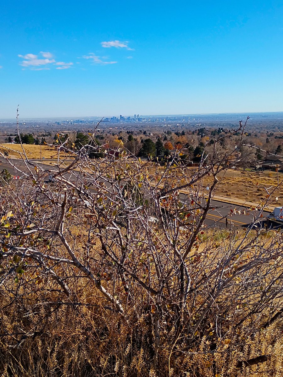 Looking across to Denver