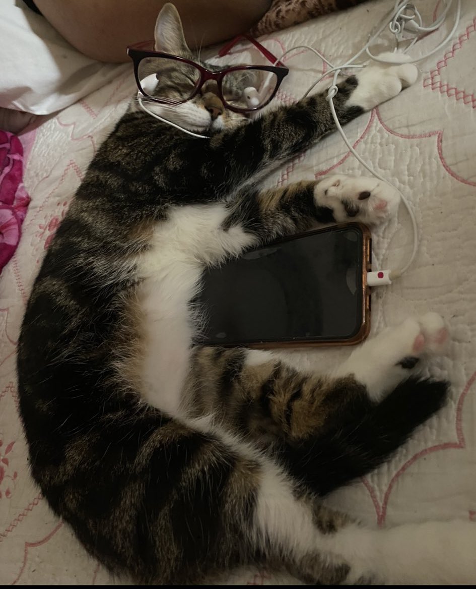 Grindr has take up a disturbingly long part of my day