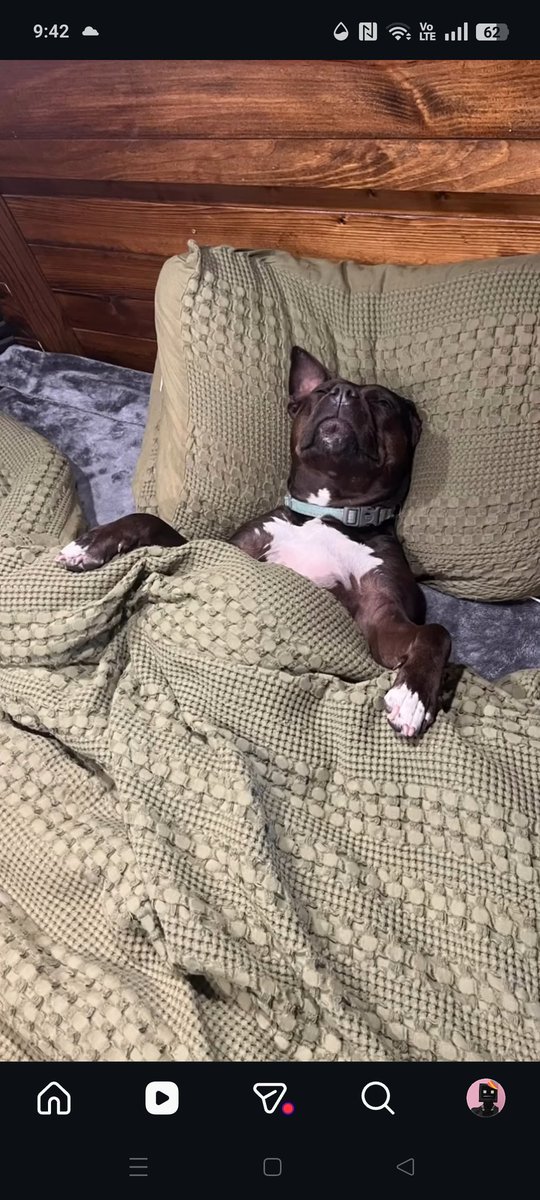 Dias sin polemica comunidad stream/eventos pequeña tweet media