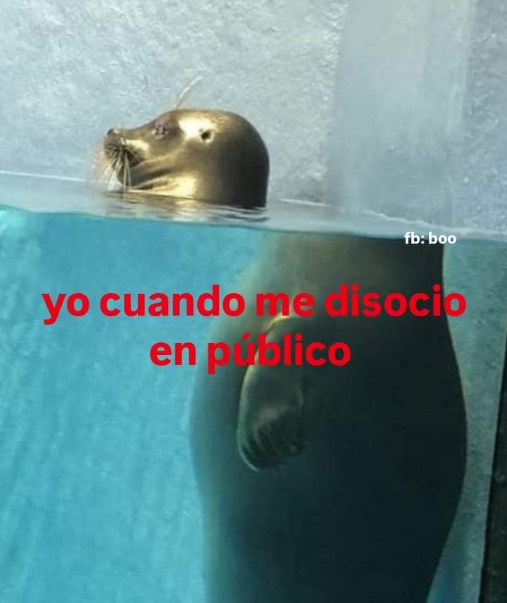 En Júpiter (@en_jupiter_) on Twitter photo 