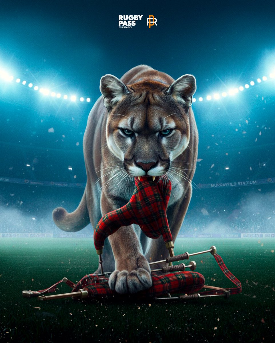 El camino del Puma 🐆