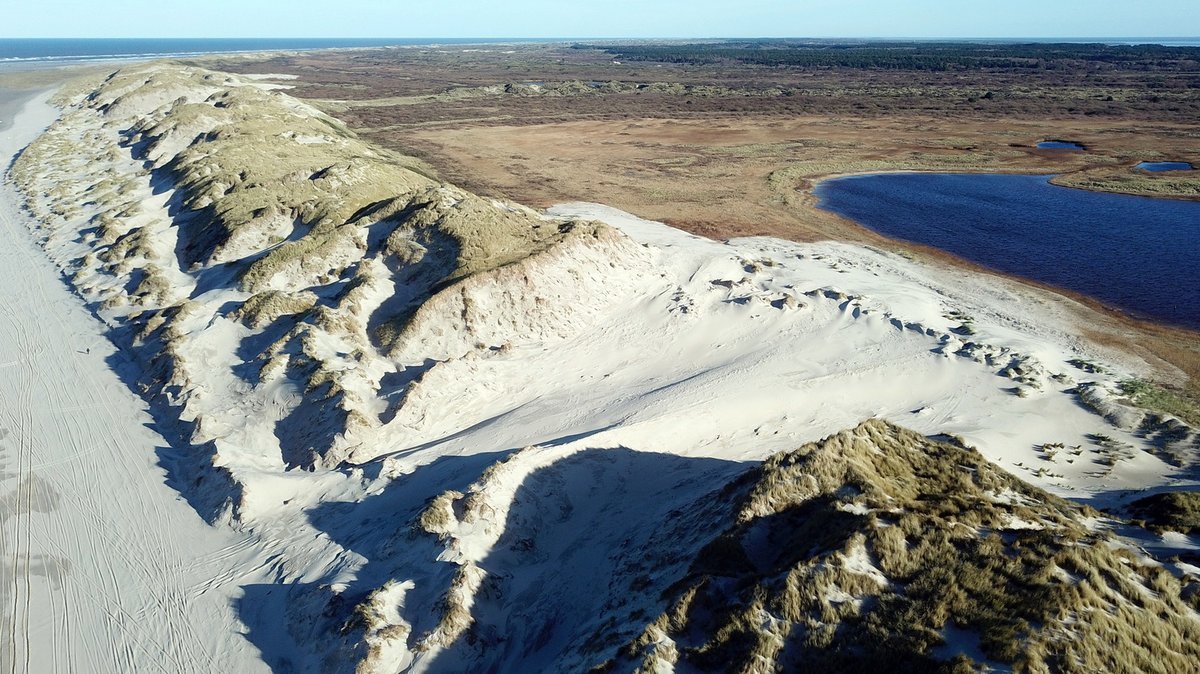 Gerrit Bart Volgers tweet media