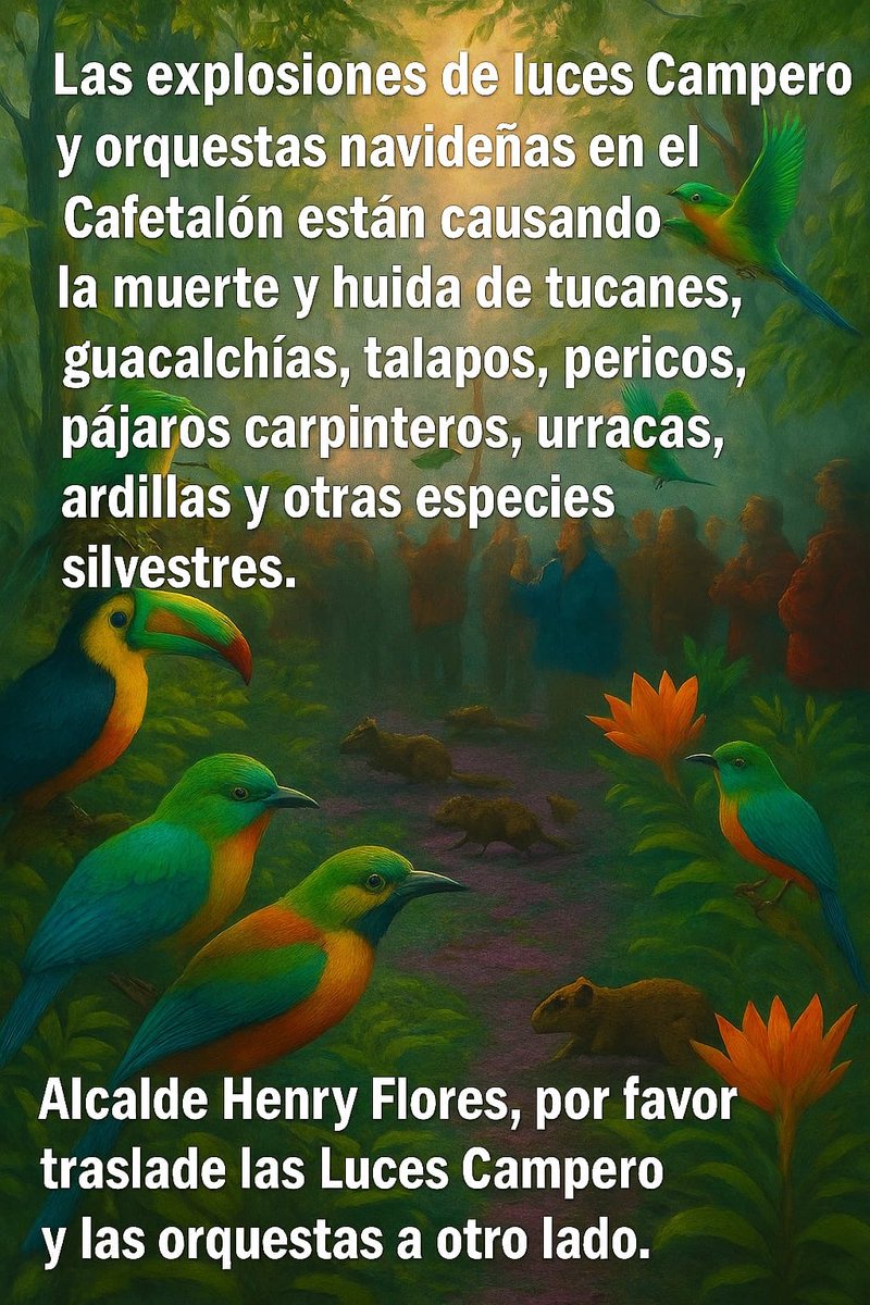 EdithAP_'s tweet image. Muchos de ustedes quizá son muy jóvenes y ya no recuerdan que  antes, en #SantaTecla, hacia tanto frío que a menudo tenías que usar abrigo. Esta ciudad está rodeada por la cordillera del Bálsamo y -antes- por varios bosques y fincas, entre ellas #ElCafetalón, que fue donada por…