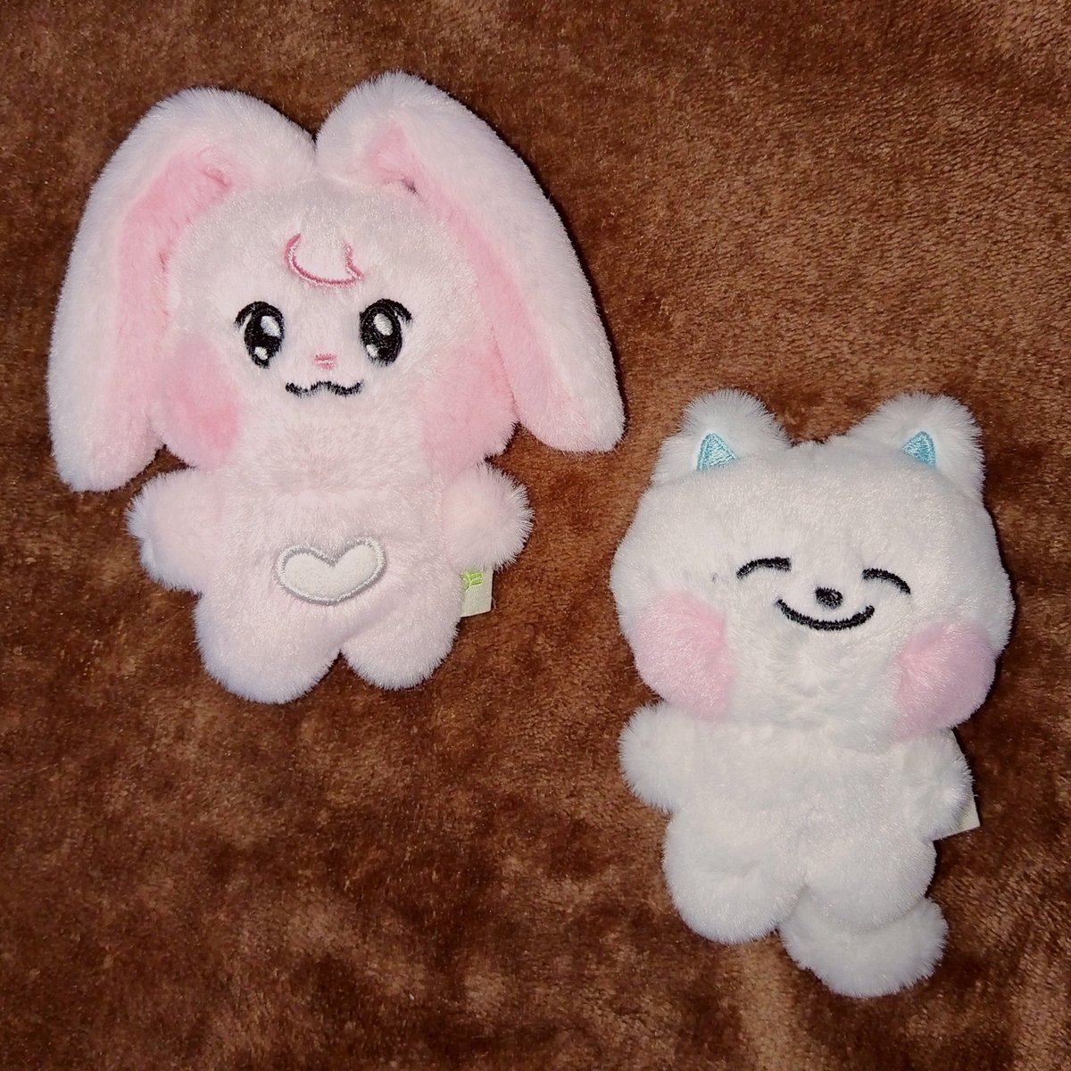 sweetven0ms's tweet image. got the kiyowo goodies safely 🧚‍♀️ thank you so much, @lililyx97! 💙🩷

#lovelily_