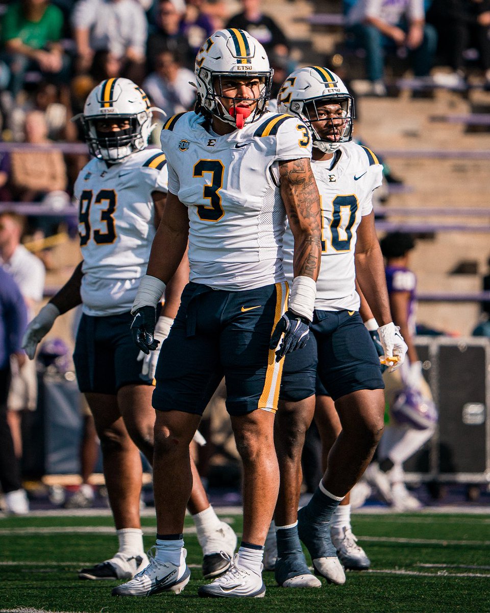 ETSUFootball's tweet photo. stacking W’s

🧵⬇️

#GoBucs | #BUCkleUp https://t.co/B5WoFY4d4p