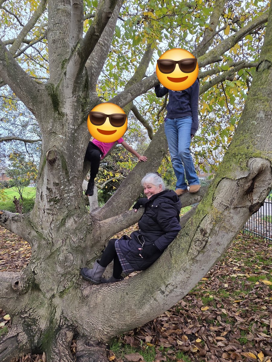 outlookisrosy's tweet image. My Mum asking if I still do that tree group with the nice people on the internet 😁
Yes Mum, smile for #TreeClub