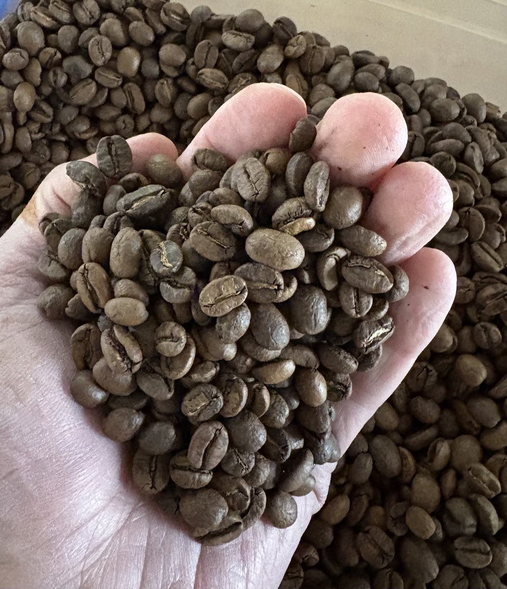 Another stellar batch. ☕️