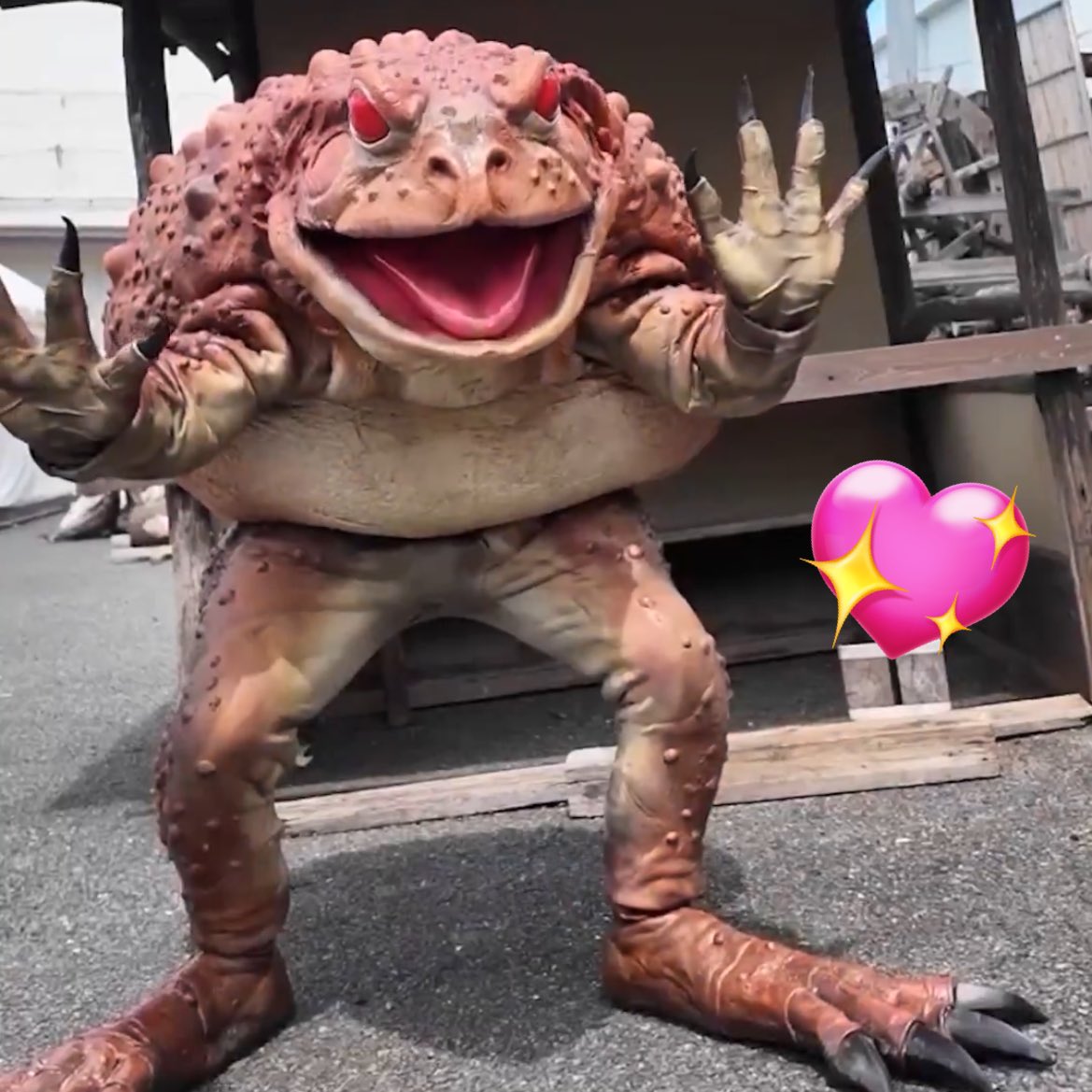 ガマくんから ファンサいただきました🥺🫰 #仮面の忍者赤影 #千年蟇