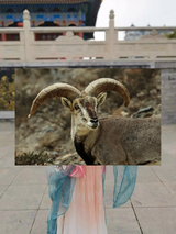 🧆🛎Seeoberfläche Nacht, im Winter lang 🌙