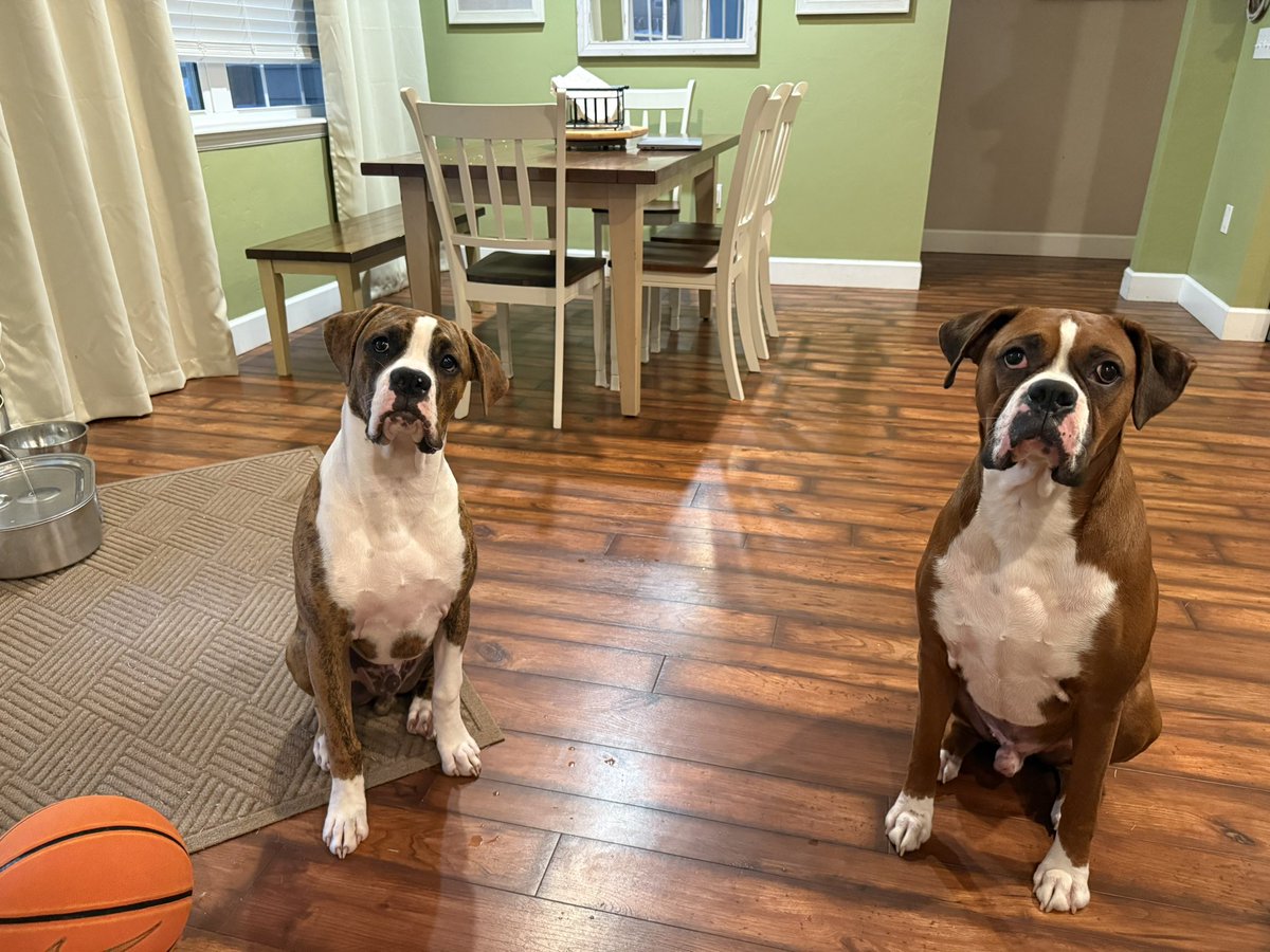 gro12255's tweet photo. @DougGambles I have a Dewey and a Marcus!! https://t.co/cZa1AXVNP4