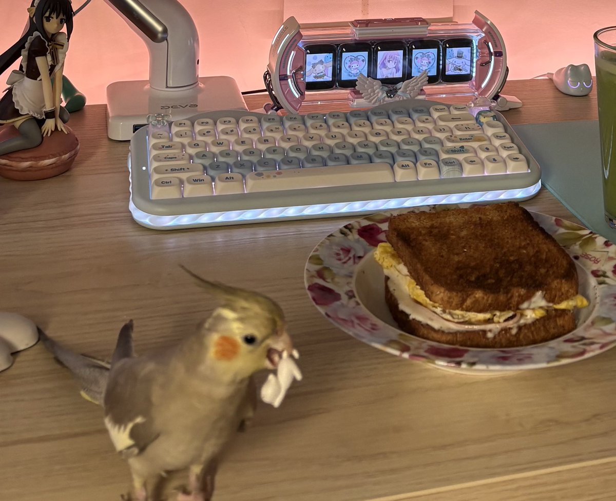 Madoka ྀིྀིིྀ tweet media