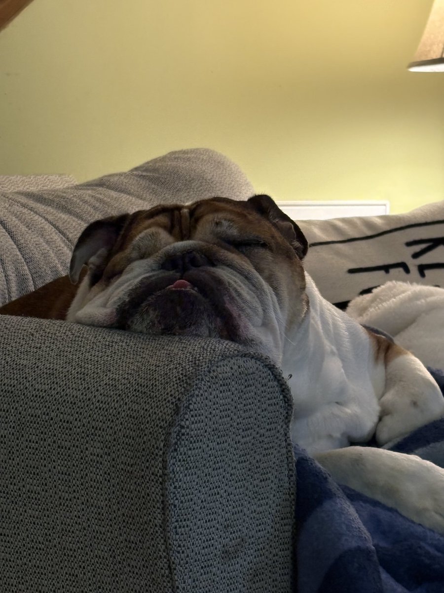 Shayne Thompson tweet media