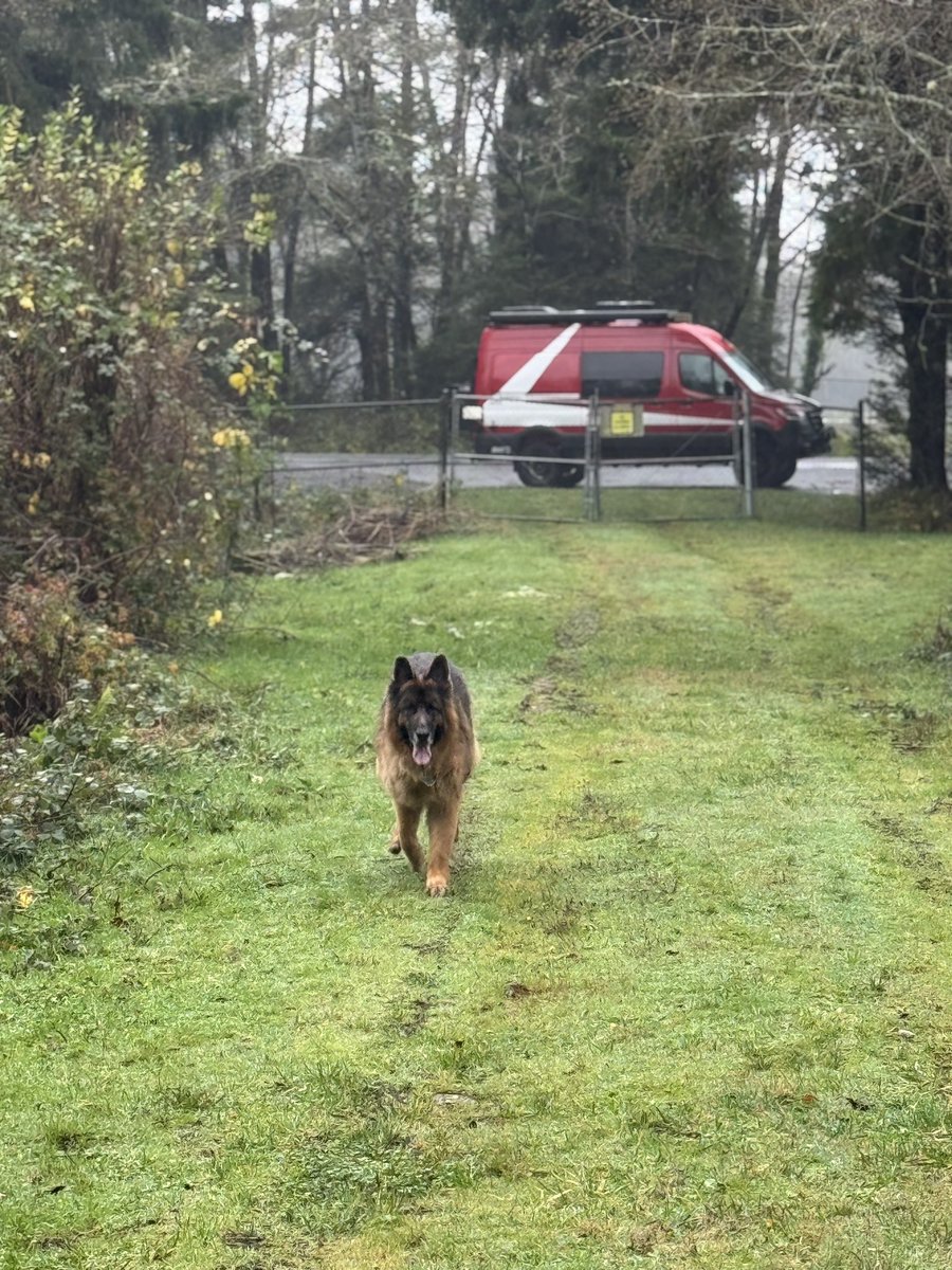toddycarp's tweet photo. Just a wet day in the PNW https://t.co/6ylklRmQP2