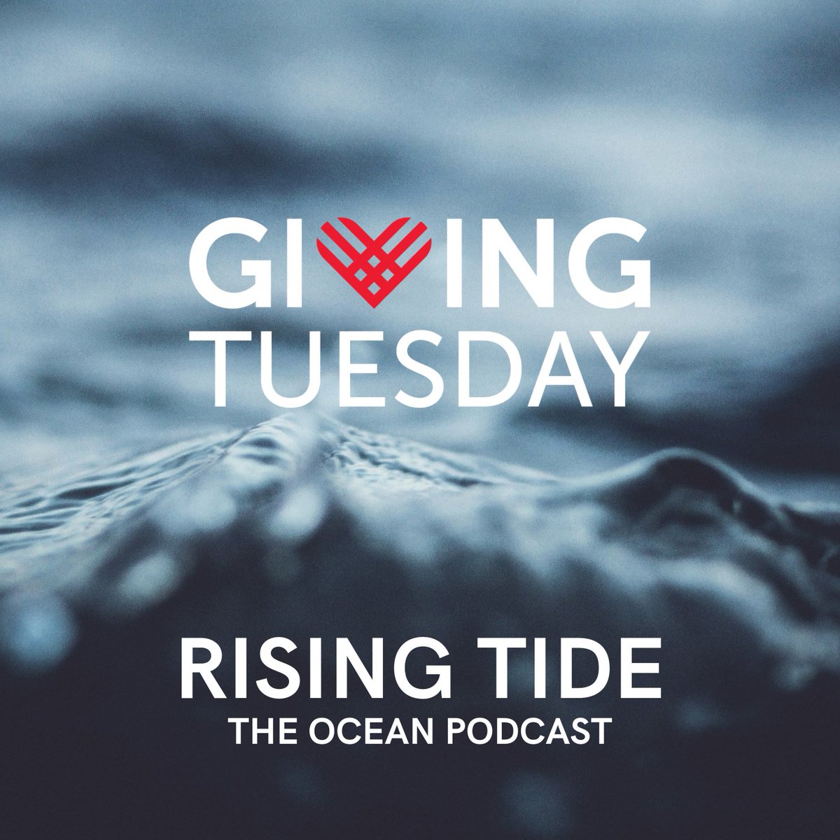 h20ld3n's tweet photo. We rise together. The U.S. govt. has cut subscriptions to Nature &amp; Science—Ocean storytelling matter. Science is under pressure. Climate coverage is disappearing.
Donate to support Rising Tide:
https://t.co/ZM3vBDPHwZ
#OceanStories #ClimateAction #KeepScienceAlive @GivingTuesday https://t.co/W3f7YpLOKE
