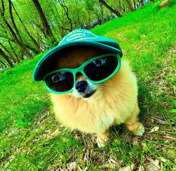 Let me give you a green smile in times of red 😎

Bullievers always win 🏆