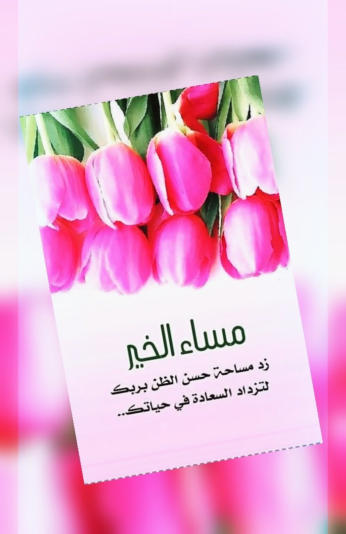 #مساء_الخير 👋🏻🩷🍃