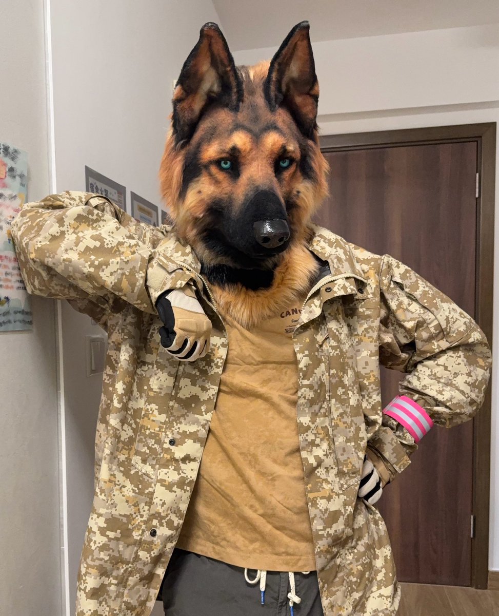 带狗出门前突然有事于是叫狗等一会：
#furry #fursuit #FursuitEveryday #Husky #GermanShepherd