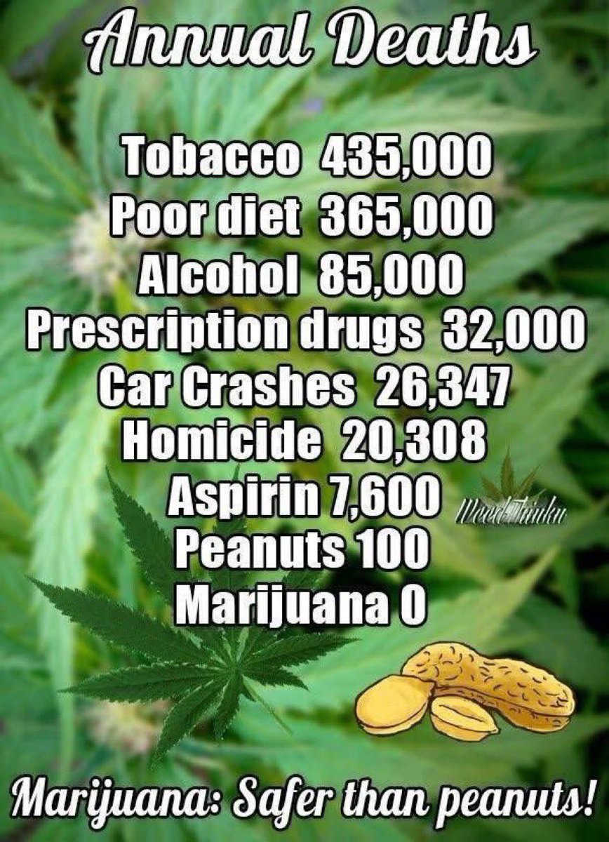 Vet 420 (@weedvet) on Twitter photo 