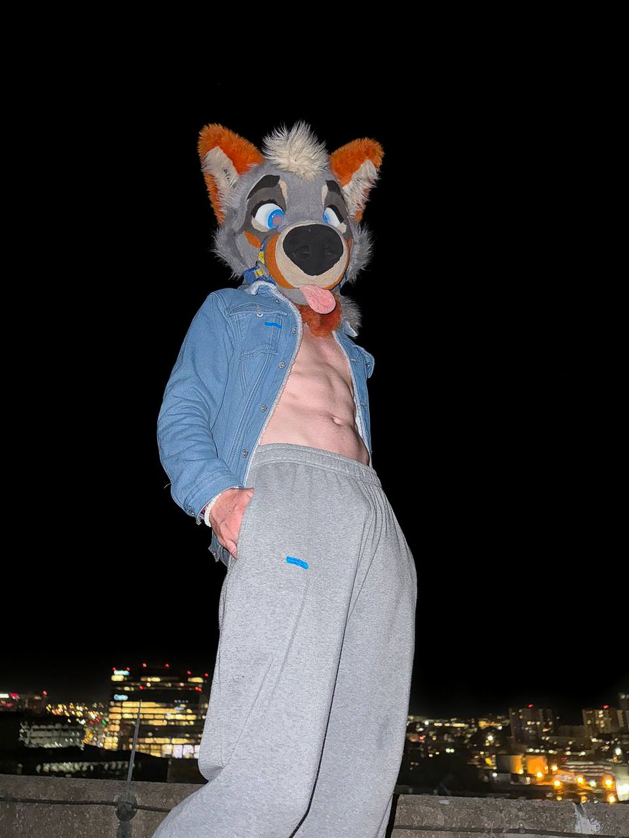 PartDoggo's tweet image. What&apos;re you doing down there 😏