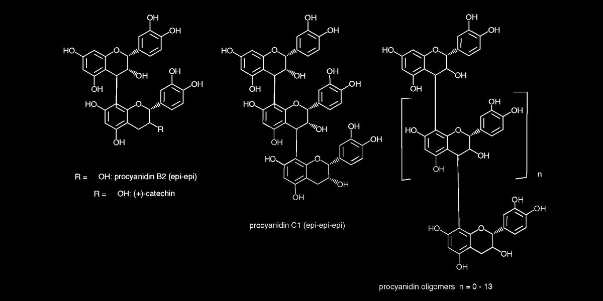 Oligomeric procyanidins [OPCs] from apples and acai - and likely other sources such as grape seed extract and pycnogenol - help the innate part of the immune system respond more quickly to pathogens, reducing the risk of disease. ergo-log.com/antiviral-opcs…