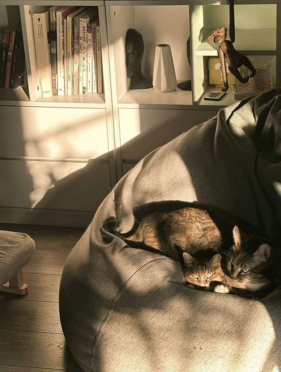 人 (@chiholuk5) on Twitter photo 