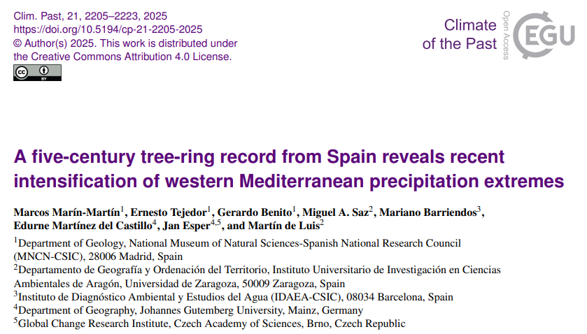 David Salesa 🌱 tweet media