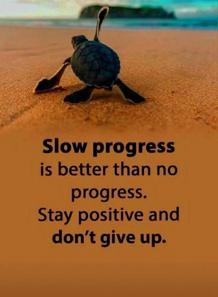 NandiniM30323's tweet image. Slow progress

is better than no progress.

Stay positive and don&apos;t give up. #SlowProgress #KeepMovingForward #StayPositive #DontGiveUp #Motivation #ProgressNotPerfection