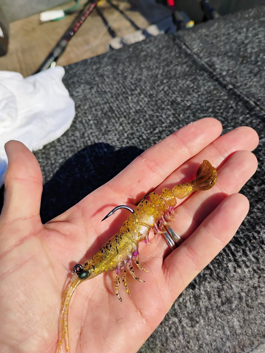 Amanda W. tweet media