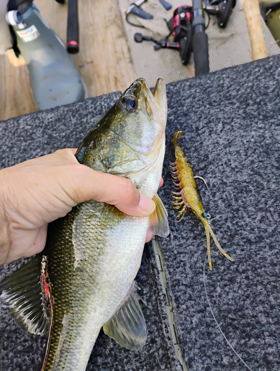 Amanda W. tweet media