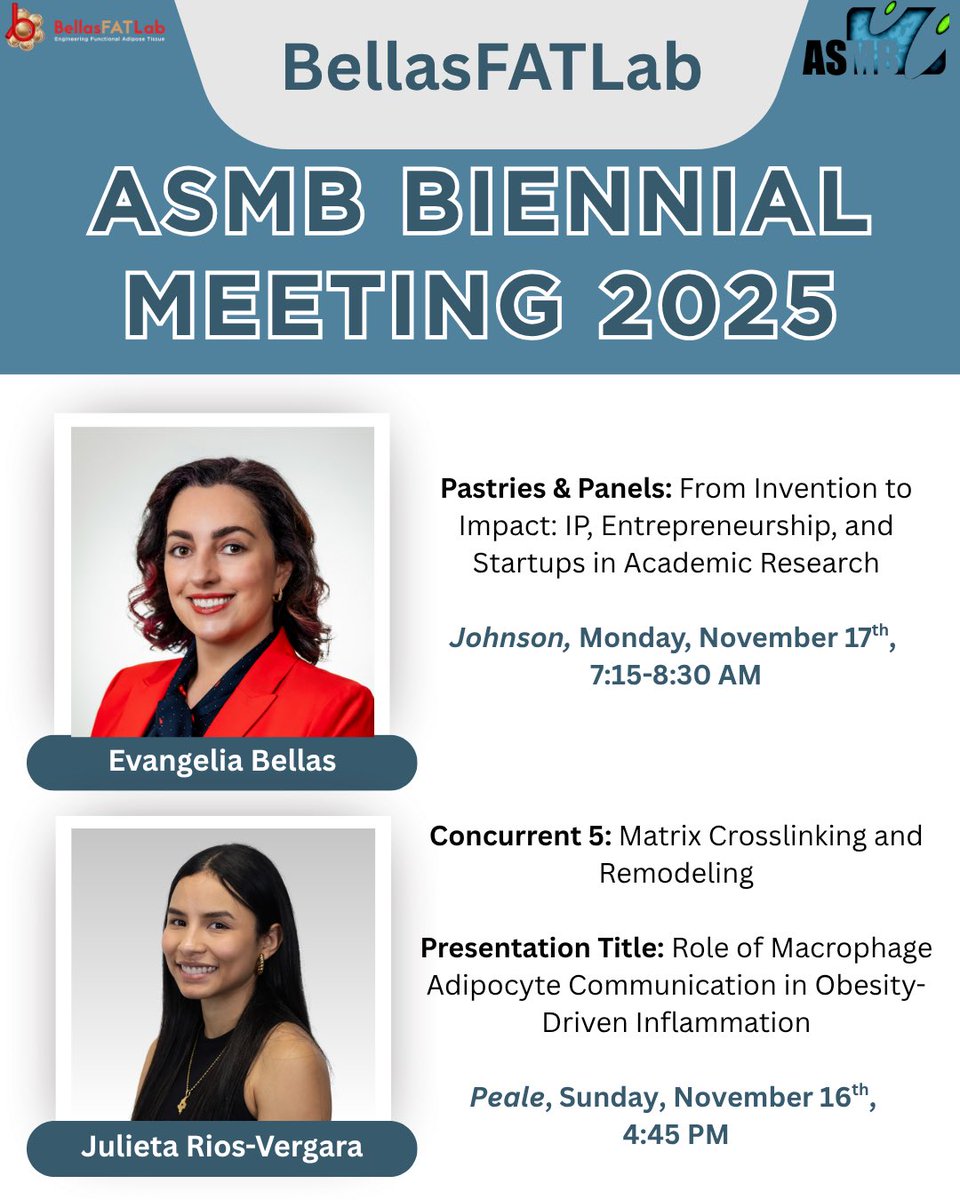 BellasFATLab tweet media